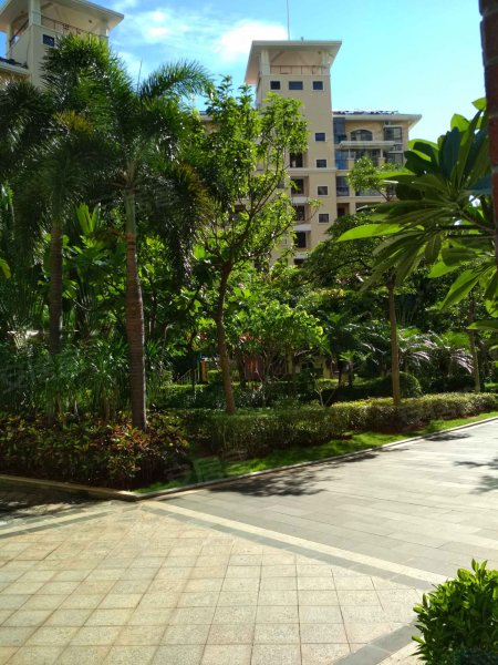 海岸郁金香花园,德利路11-6号-海口海岸郁金香花园二手房,租房,房价