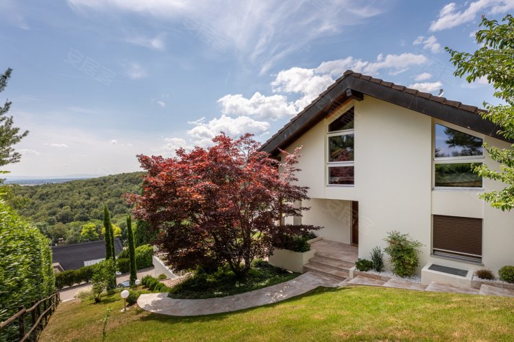 瑞士约¥1672万享有湖泊和阿尔卑斯山全景的别墅二手房公寓图片
