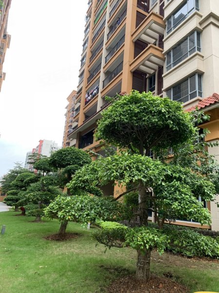 华英城汇景湾(华英城三期),东湖二路-肇庆华英城汇景湾(华英城三期)