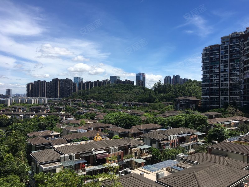 星河丹堤,南坪快速路-深圳星河丹堤二手房,租房,房价-深圳安居客