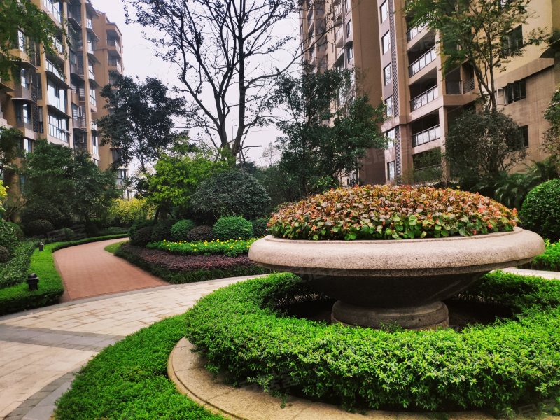 滟澜洲朗悦里,清江路南段-乐山滟澜洲朗悦里二手房,租房,房价-乐山