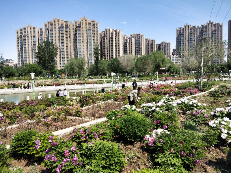 北京牡丹园小区图片