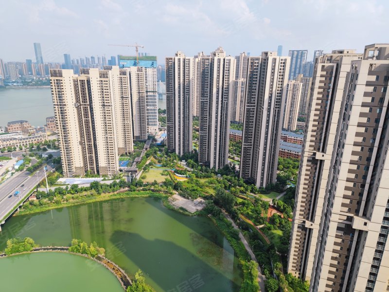 万科里金域国际