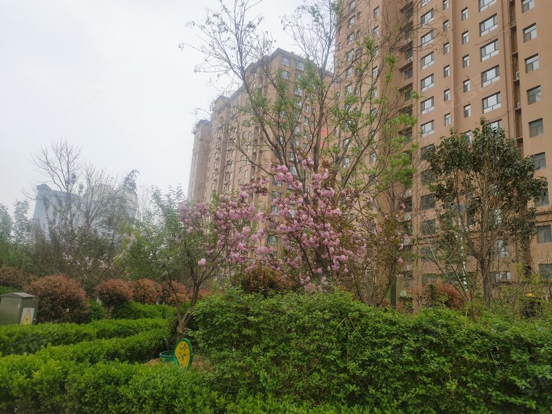 凤凰湖畔,陶朱公街17号-运城凤凰湖畔二手房,租房,房价-运城安居客