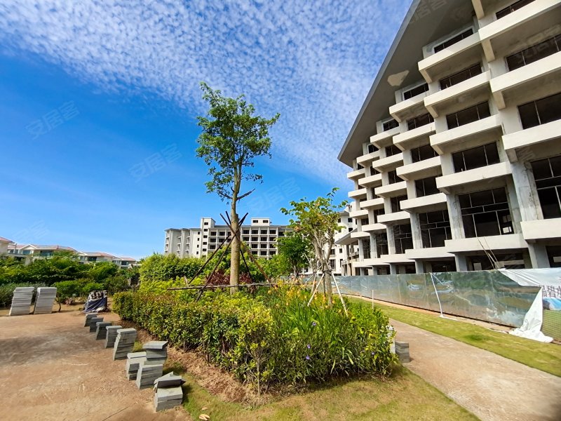 椰风海韵花苑,振洋路16号-重庆椰风海韵花苑二手房,租房,房价-重庆