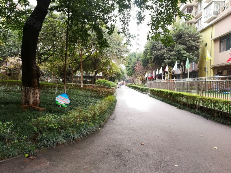 诚投天邻风景,新南路388号-重庆诚投天邻风景二手房,租房,房价-重庆