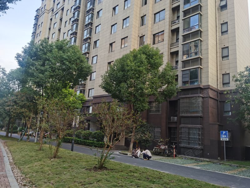 泗泾新苑(西区)