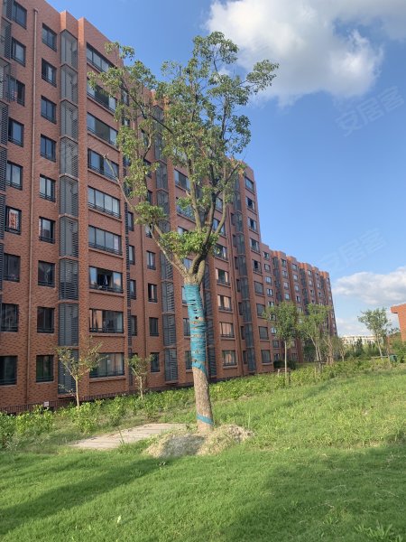 佘北家园木槿苑