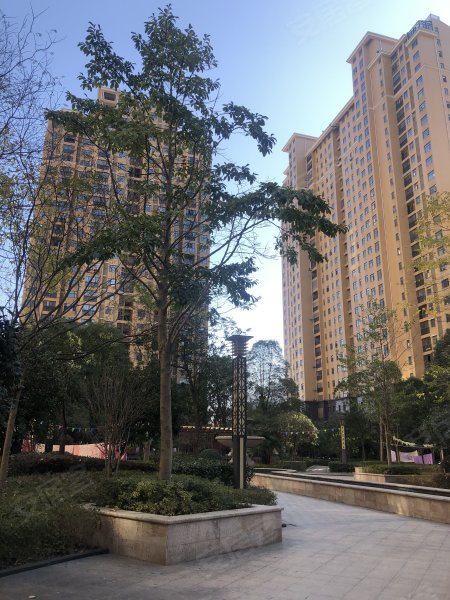 宇济滨湖天地竹苑,董永路88号-孝感宇济滨湖天地竹苑二手房,租房,房价