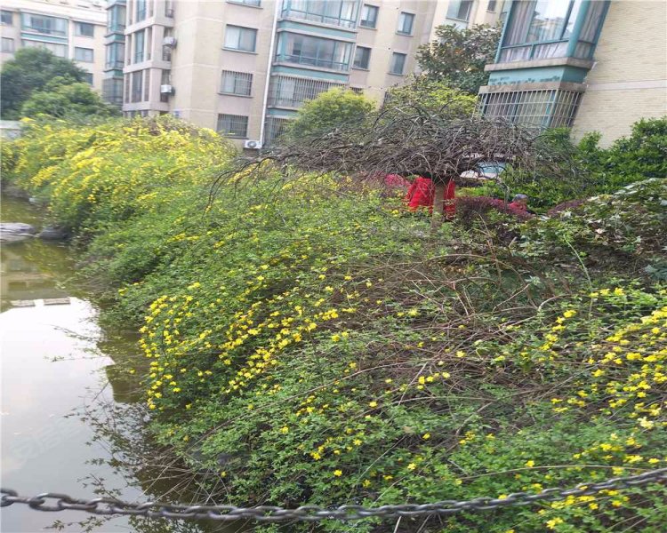 冠达豪景苑,东兴路-无锡冠达豪景苑二手房,租房,房价-无锡安居客
