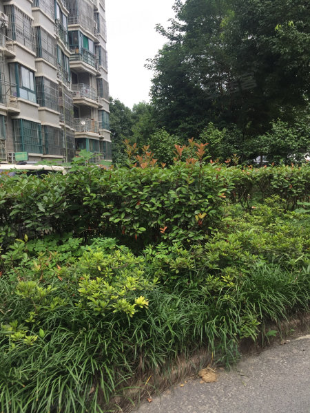 香江生态丽景c区
