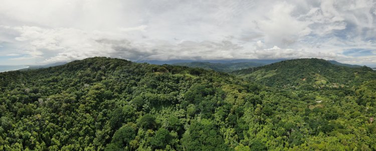 哥斯达黎加约¥5752万超越比较发展机遇 - 102英亩的神奇土地二手房土地图片