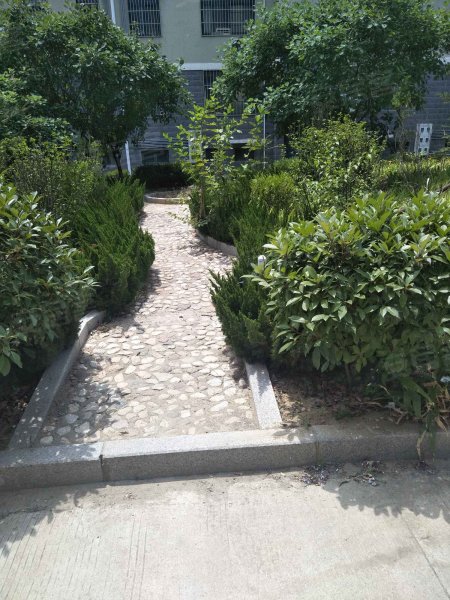 兴隆家园,博阳路39号-泰安兴隆家园二手房,租房,房价-泰安安居客