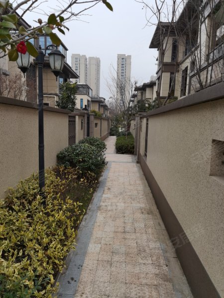 碧桂园德信衢州公馆(别墅)