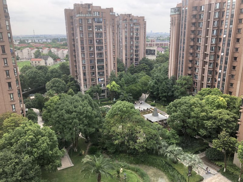 新虹桥雅苑,谢卫路258弄-达州新虹桥雅苑二手房,租房,房价-达州安居客