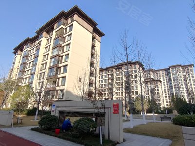 建业春天里民权