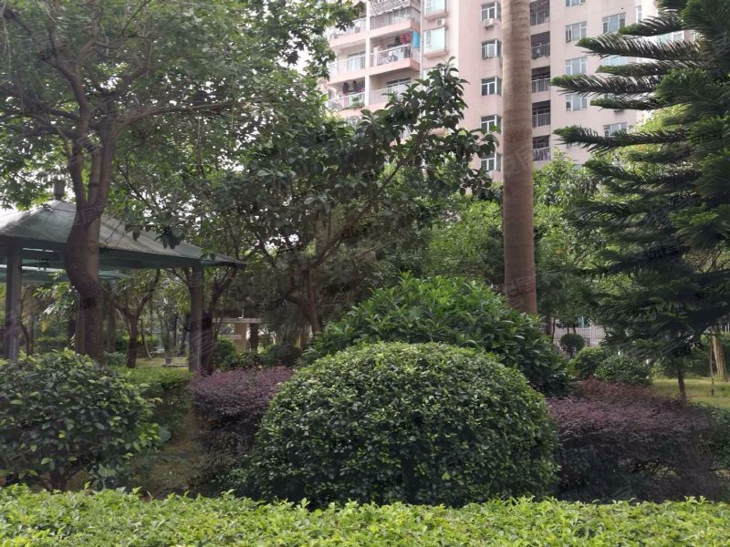 吉星花园,深惠路30-40号-深圳吉星花园二手房,租房,房价-深圳安居客