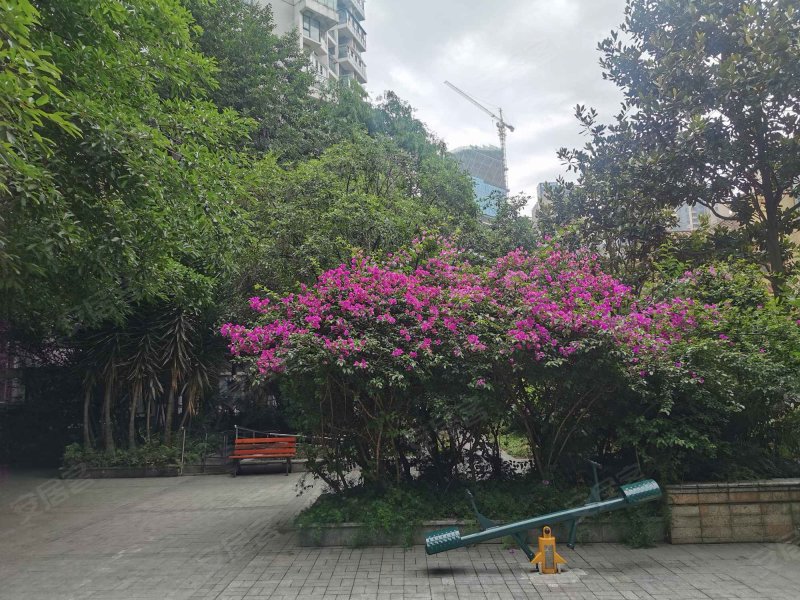 香瑞湖花园,林泉南街99号,鹏程路1099号-成都香瑞湖花园二手房,租房