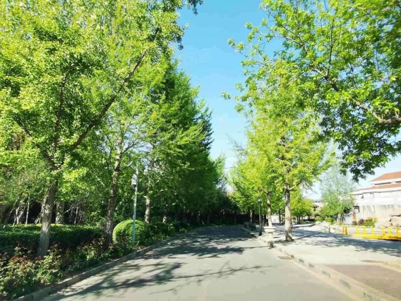 沿海丽水佳园,薛北路-北京沿海丽水佳园二手房,租房,房价-北京安居客