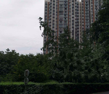 红湖公园城 高绿化 有电梯大套二 中间楼层 小区安静