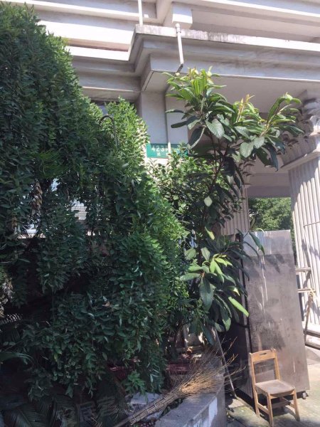 爱法花园(二期) 