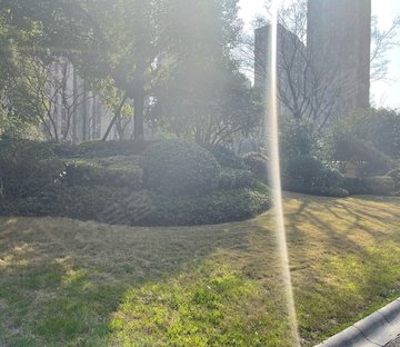 碧桂园金科尚合府(公寓住宅)