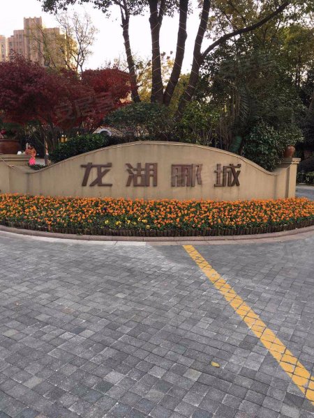 龙湖郦城(西区公寓住宅) 