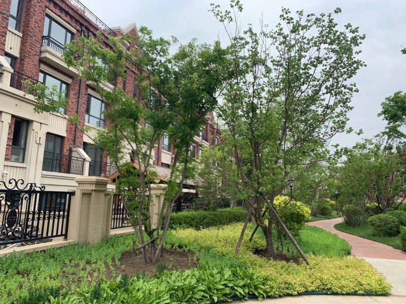 天茂湖三期温莎园(别墅)