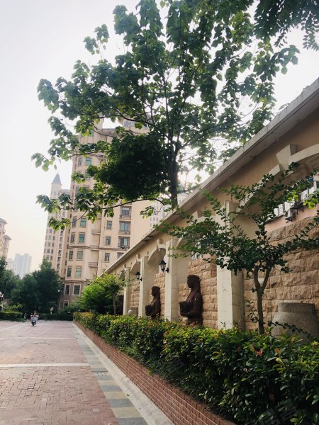 康城棕榈泉,紫荆山路218号-郑州康城棕榈泉二手房,租房,房价-郑州安居