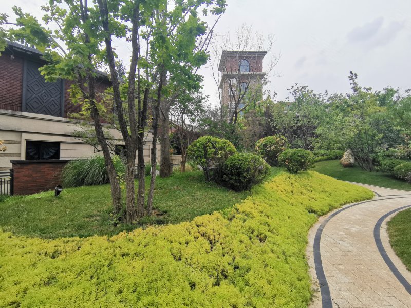 鸿坤理想城(别墅)