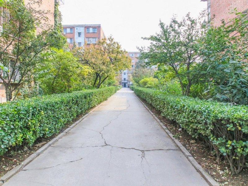 华龙苑中里(南区)