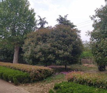 广博苑(商住楼)