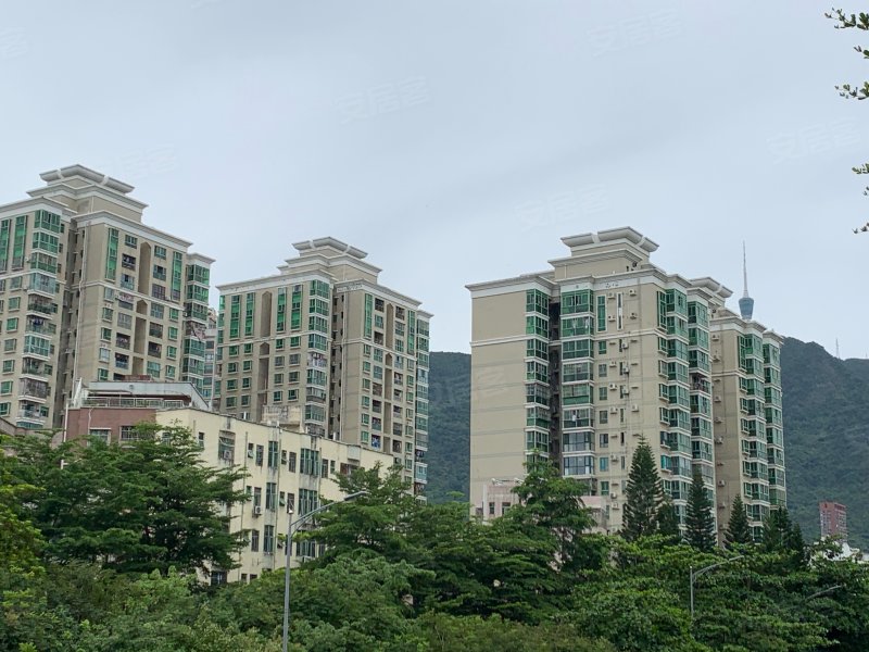 聚福花园,莲塘路61号-深圳聚福花园二手房,租房,房价-深圳安居客