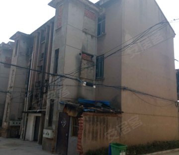 望华新村一楼带院子  平 室 厅 卫