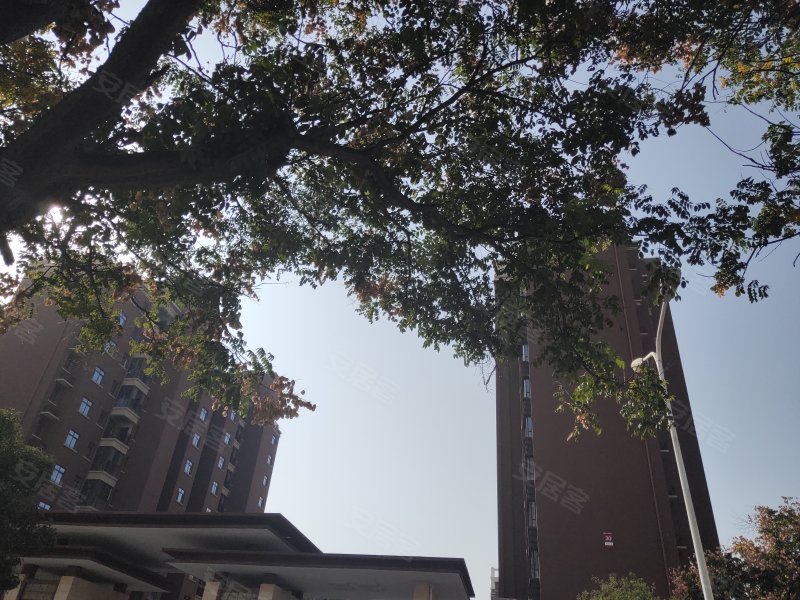 中南菩悦东望城