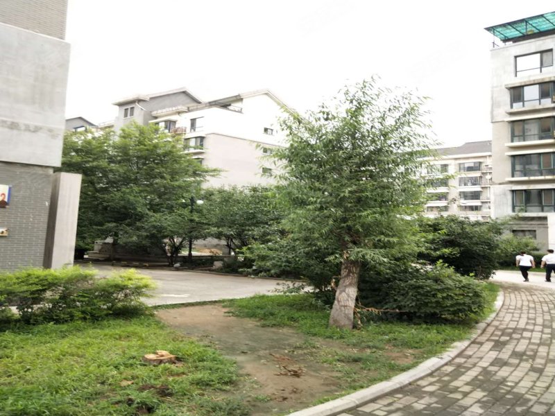 江南春城(c区),兴工北街104巷1号-沈阳江南春城(c区)二手房,租房,房价