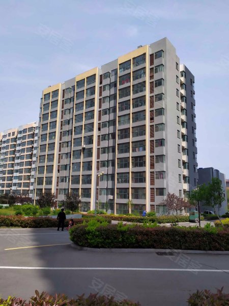 金阳花园,金雀山路-临沂金阳花园二手房,租房,房价-临沂安居客