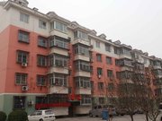 独流镇小区图片