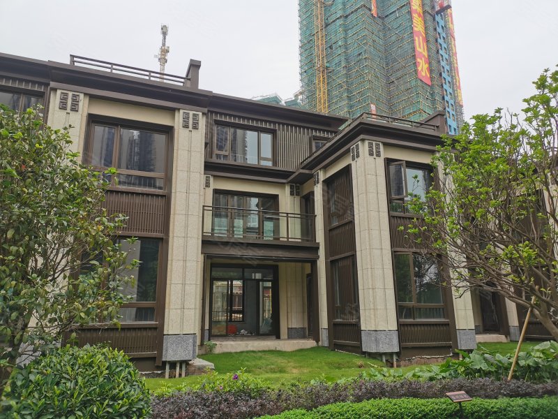 金科集美山水(别墅)