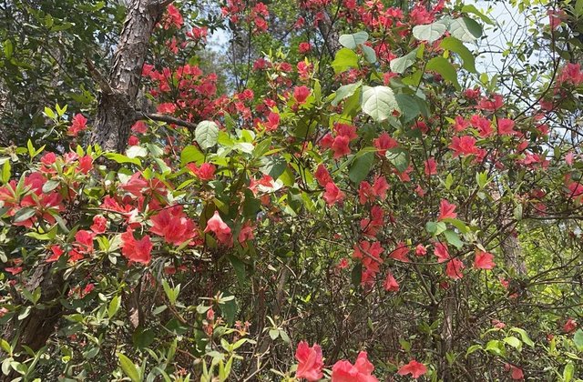 潞安欣新苑小区3室2厅133㎡39.8万二手房图片