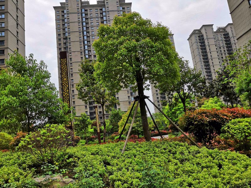 湖西景苑(a区),建华西路,近衡山路-枣庄湖西景苑(a区)二手房,租房
