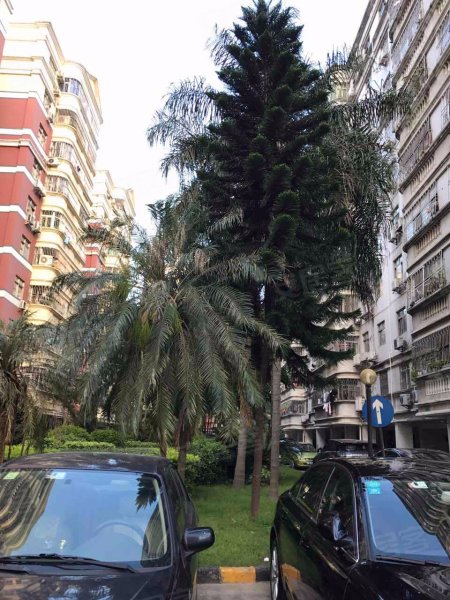 海韵花园,翻身路149号-深圳海韵花园二手房,租房,房价-深圳安居客