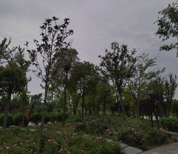 文苑巷1号小区