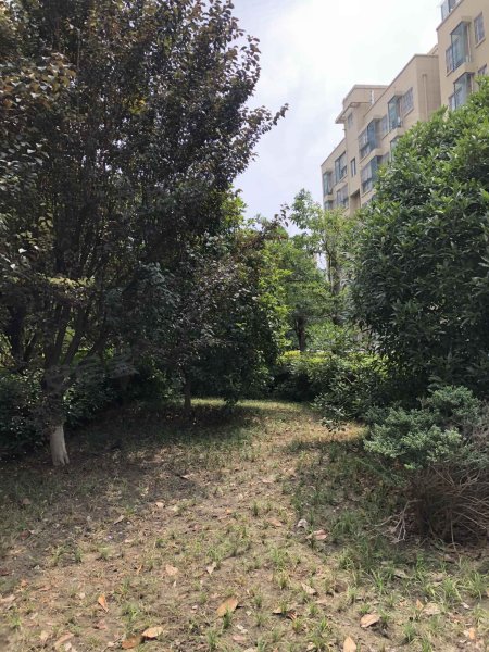 金庭苑(北区),东进西路22号-盐城金庭苑(北区)二手房,租房,房价-盐城