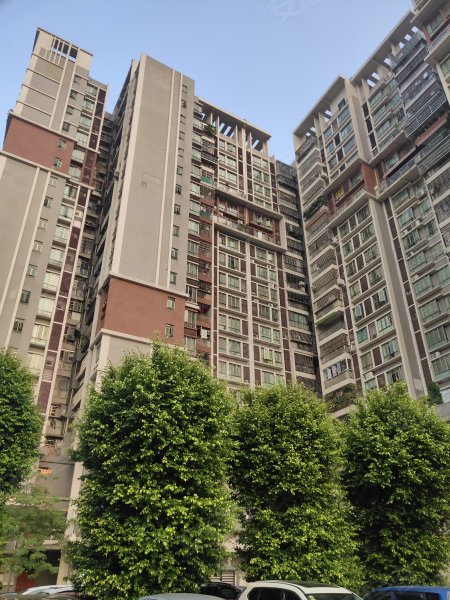 盛泰花园(南区),广场西路-广州盛泰花园(南区)二手房,租房,房价-广州