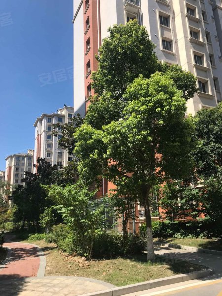 百家桥新村(东区)