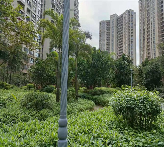 绿地海森林,长彤路-海口绿地海森林二手房,租房,房价-海口安居客