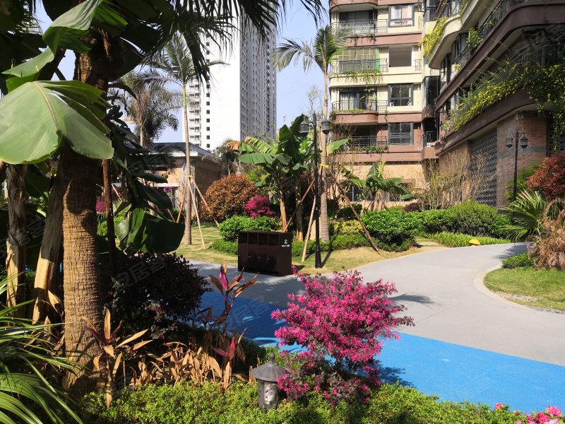 富康生态城棕榈岛