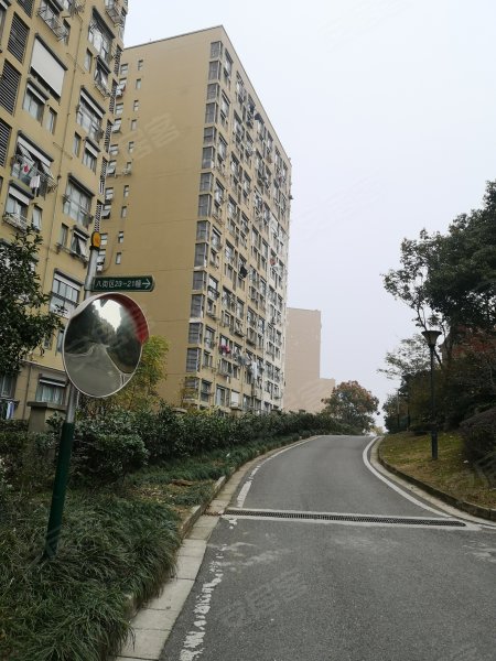 东郊小镇第八街区