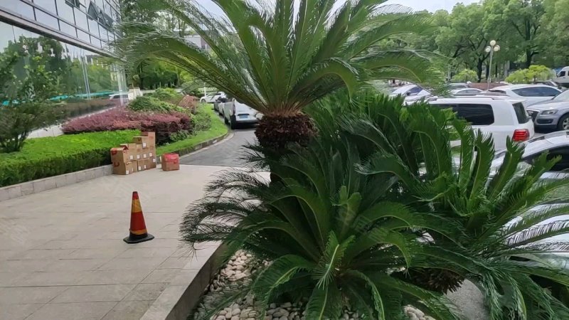 宝厦枫香名苑,枫兰路128弄-上海宝厦枫香名苑二手房,租房,房价-上海